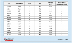 专用设备行业财务总监CFO观察：英维克叶桂梁违规收到1次警示函 其2024年薪酬却高达106万元