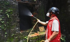 因蚊媒传染病防疫不力，广东多个机构被罚